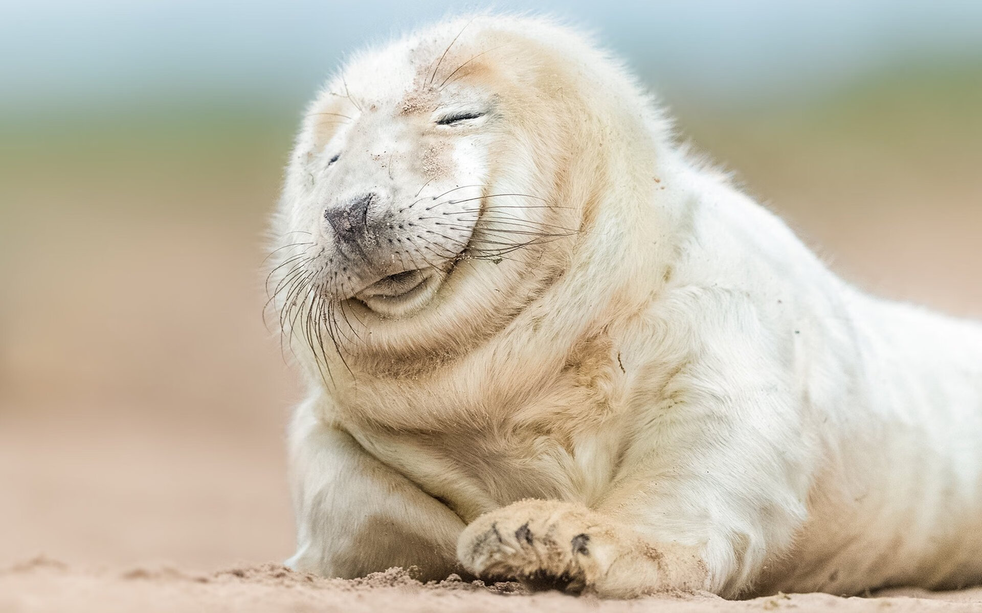 冰与火之歌！广厦力克黄蜂，拉文临危救主化身关键先生