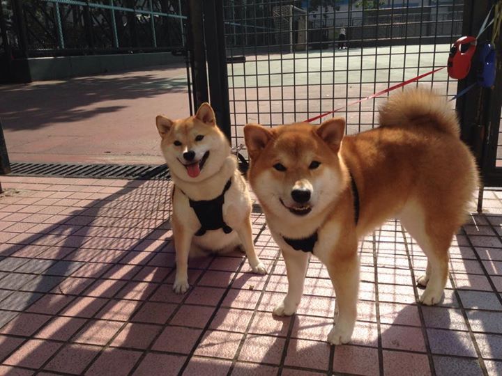 小国掀翻银河战舰！喀麦隆铁壁让皇马哑火，坎特再现世界级拆解艺术